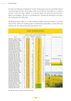 Bienen im Kopf - Das Buch