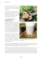 Bienen im Kopf - Das Buch