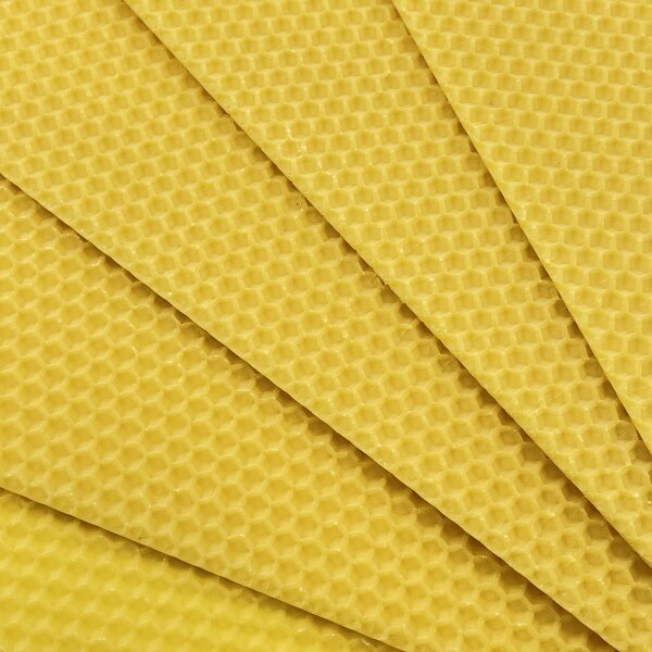 Mittelwände Zander 1/2 1kg